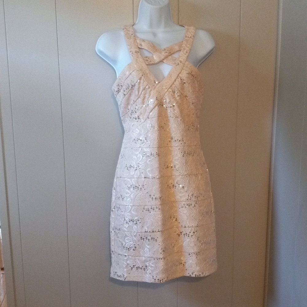 Crystal Doll pink cutout sequined lace dress in size 3. - Picture 2 of 8